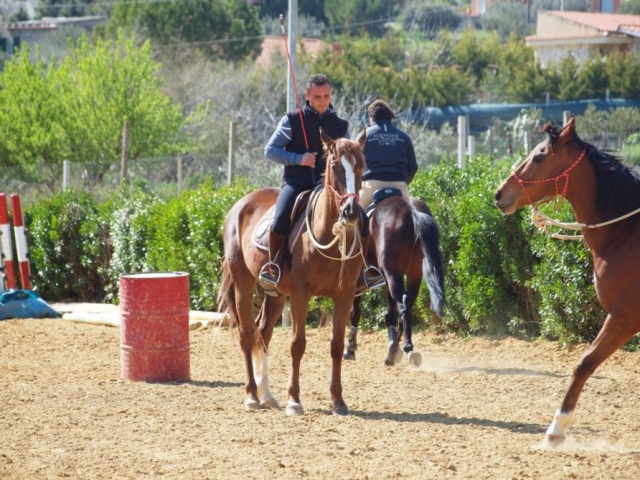  Horse riding with experts 